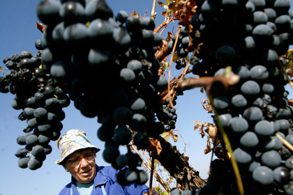 pic_c997bfa2dbb45ca0d315cb8ebaa337f3