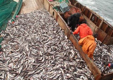 7c3fa193370a49e5c79a41ad4fd7c7fcc007fca3