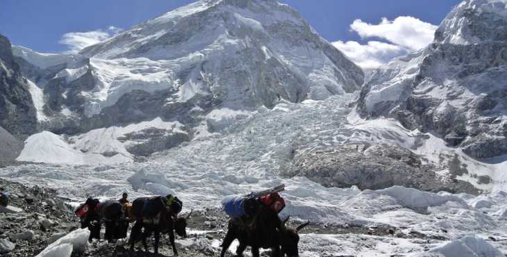 7318768906ff9263b44c643b73648aa07c1ab98c