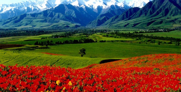 105915_watermark_12_12_rightbottom