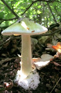 ���� � ����� (6)