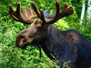 ���� � ����� (7)