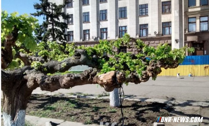 � ������ ������� �������� �������� � ���� ����������