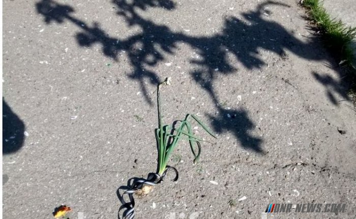 � ������ ������� �������� �������� � ���� ����������