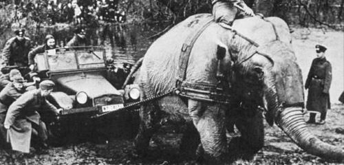 1431982292_0_a9054_e4db1678_l