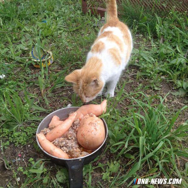 ���� �� ������ ������� ��������� ��������