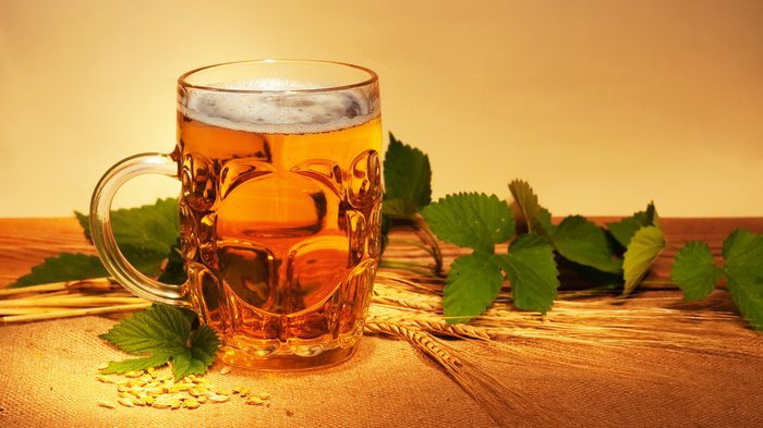 beer on sacking with wheat and hop still-life