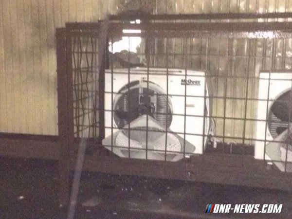 ����������� ��������� ������� Roshen � �����