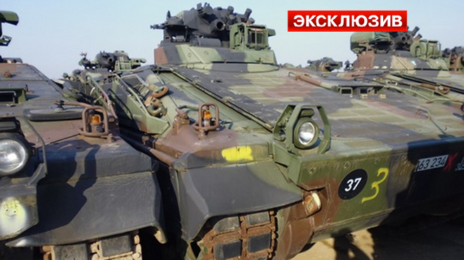 8ea697fd1cfbf3ab200bbd3880123be4