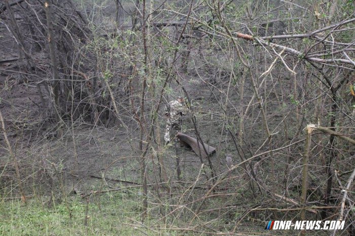 ВСУ используют оружие высокой мощности в перемирие. Результат обстрела. 17.06.2015 ВСУ используют оружие высокой мощности в перемирие. Результат обстрела. 17.06.2015