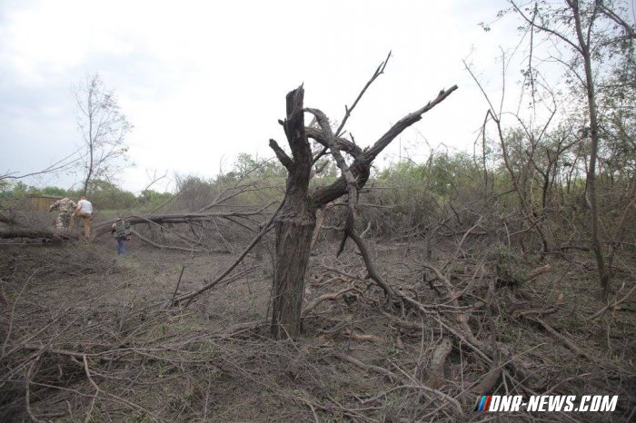 ВСУ используют оружие высокой мощности в перемирие. Результат обстрела. 17.06.2015 ВСУ используют оружие высокой мощности в перемирие. Результат обстрела. 17.06.2015