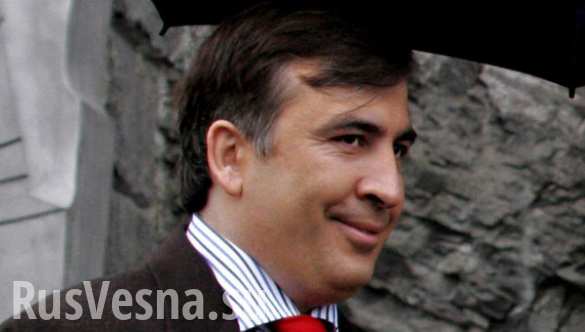 Реалити-шоу «Губернатор»: кабинет Саакашвили будет прозрачным