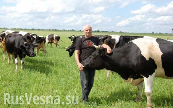 Ставка на санкции: россияне массово идут в фермеры