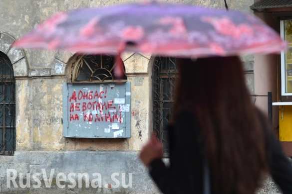 Во Львове «неизвестные провокаторы» украшают стены антивоенными граффити — СМИ (ФОТО)