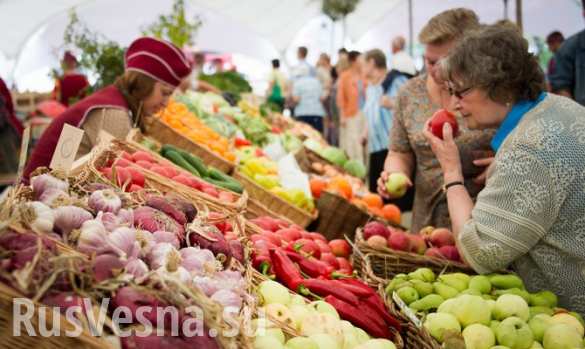 Минсельхоз РФ: Россия закрывает все «лазейки» для подсанкционных овощей и фруктов