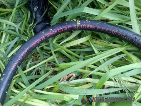 ������������ ������� ������ �������� ������� � ��������