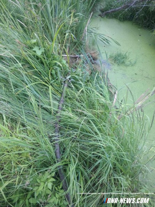 ������������ ������� ������ �������� ������� � ��������