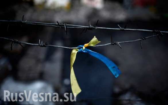 Организаторы госпереворота-2014 отмечают День Конституции Украины