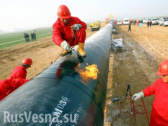 Китай начал строить трубопровод навстречу «Силе Сибири»