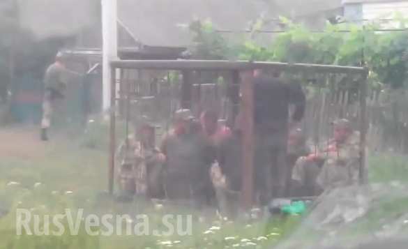 Daily Mail: зверинец по-украински — пьяных солдат держат в клетке | Русская весна