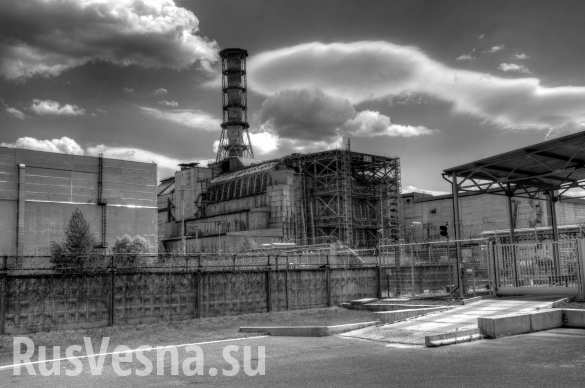 Эксперты: Пожары в «Чернобыльской пуще» представляют серьезную угрозу (ВИДЕО)