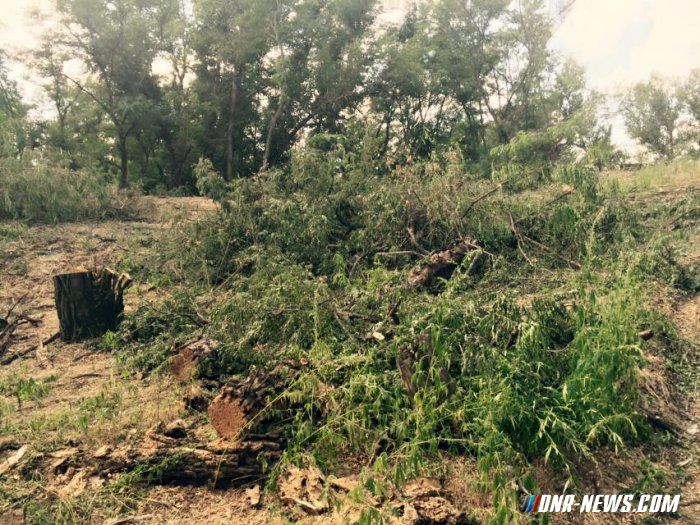 � ���������� ������� ������� ������ ��������� ���������� �������� ����