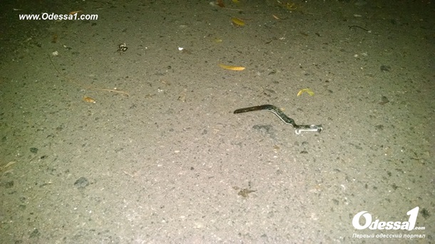 � ������ ������ ����� ��������� �����