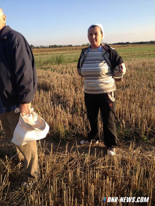 �������� ������� ������� ����������� ���, ������ �� ����