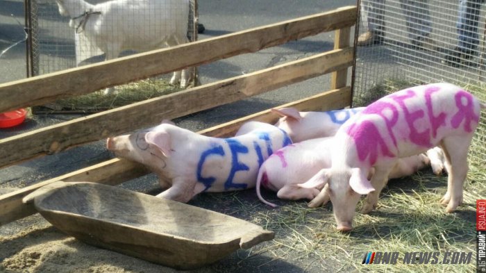 ��������������� ������� ������ ����, ����, ������� � ����� � ������������� ���������