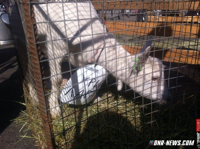 ��������������� ������� ������ ����, ����, ������� � ����� � ������������� ���������