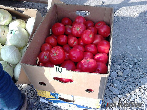 ������� ������� � �������� ����� ���� "������������"