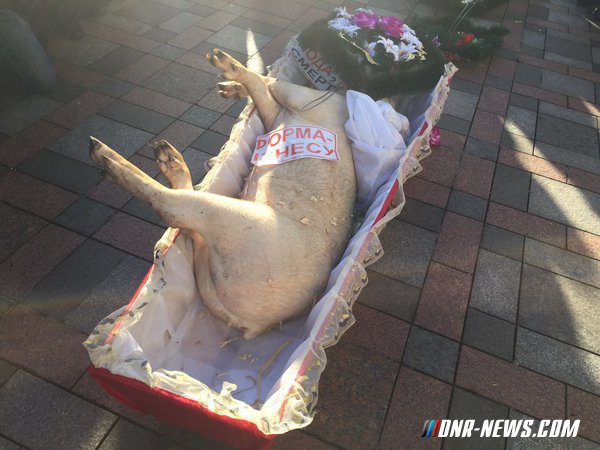 � ������ ��������� ���� ����������� �������� ���� �� �������