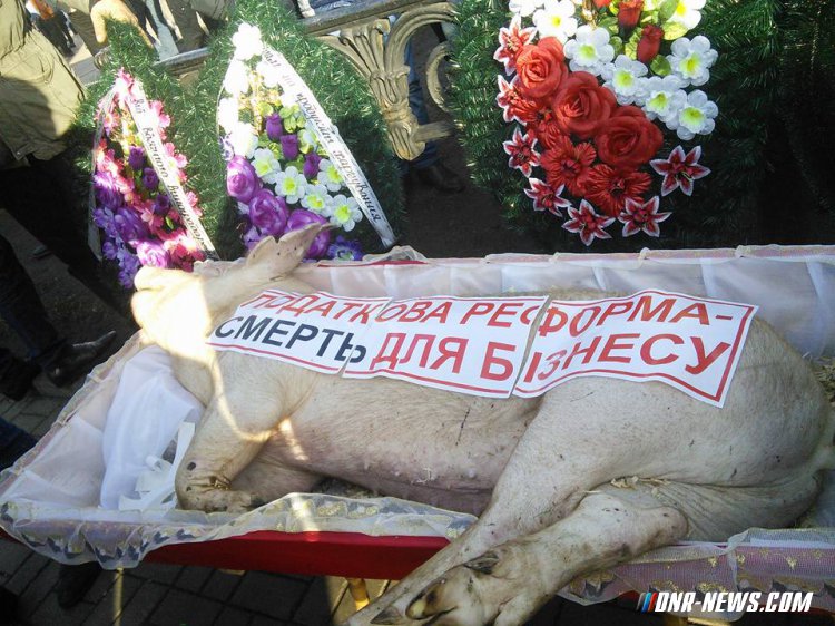 � ������ ��������� ���� ����������� �������� ���� �� �������