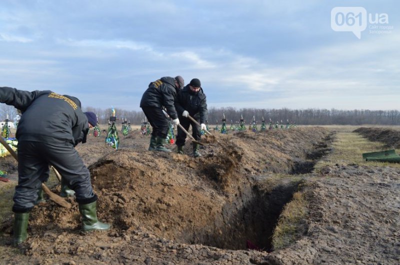 � ��������� ���������� ���������� ������������ ����� "���", ��������� � ���������� �����