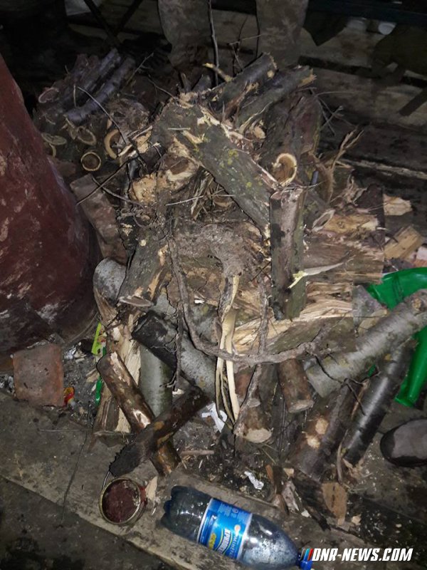 ����� 53 ���� ��� � ��������� ����� �� ���������, ������� �������� �� � ������ �����������