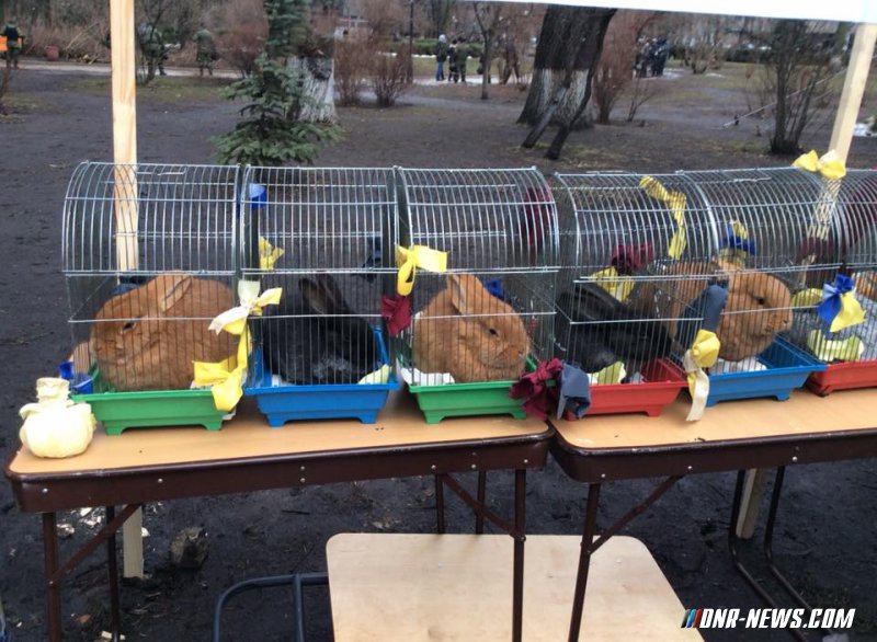 ����������� �� �������� ������� �������� � ������ ���� �������� � ������