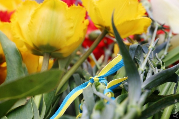 Украинские националисты срывают георгиевские ленты с одежды участников митинга в Одессе Украинские националисты срывают георгиевские ленты с одежды участников митинга в Одессе