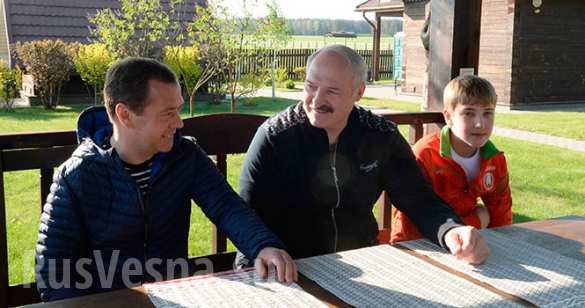 Лукашенко напоил Медведева березовым соком (ФОТО) | Русская весна