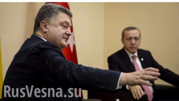 Украина и Турция расширят сотрудничество