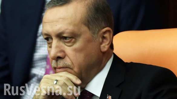 Немецкий суд разрешил называть Эрдогана «трусливым дураком» (ВИДЕО)