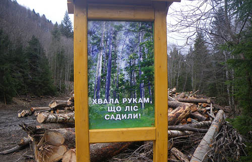 Украинская власть в Евросоюз вывезет и землю, и лес