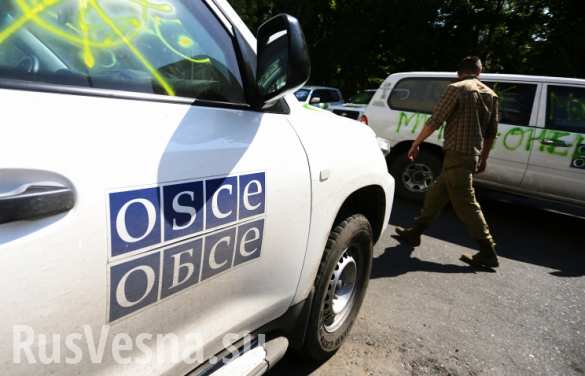 ОБСЕ готова отправить полицейскую миссию в Республики Донбасса