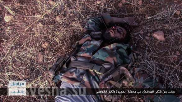      ,  ,       (,  18 ) |  