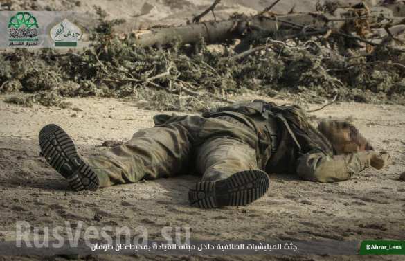      ,  ,       (,  18 ) |  