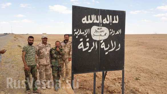 «На Ракку!»: 220 ударов ВКС России, уничтожены 450 боевиков, танки, БМП и «Грады», взяты новые рубежи — подробности (ФОТО, ВИДЕО, КАРТА) | Русская весна