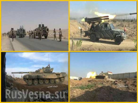   :        ,             () |  