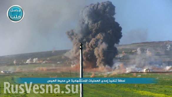 :        , 5      ,    ,  