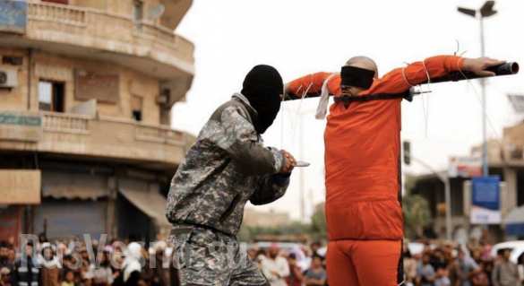      ...         ( 18 ) |  