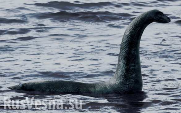   ,    ...         (, )