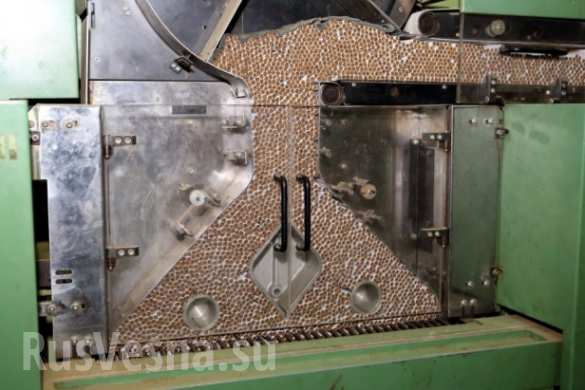 В Польше нашли подпольную фабрику, где работали рабы с Украины ( ВИДЕО, ФОТО) | Русская весна